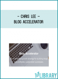 An accelerated growth strategy for building blogs into profitable, sustainable businesses.