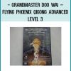 Grandmaster Doo Wai – Flying Phoenix Qigong Advanced Level 3 at Tenlibrary.com