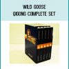 Wild Goose Qigong Complete Set at Tenlibrary.com