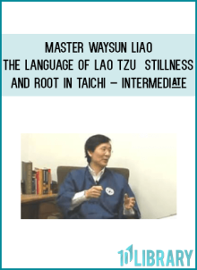 Master Waysun Liao – The Language of Lao Tzu – Stillness and Root in Taichi – INTERMEDIATE