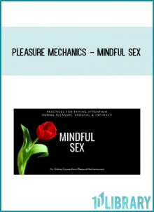 Pleasure Mechanics - Mindful Sex at Midlibrary.com