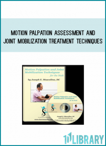 Motion Palpation Assessment and Joint Mobilization Treatment Techniques at Midlibrary.com