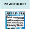 Easy Video Stingers 2014