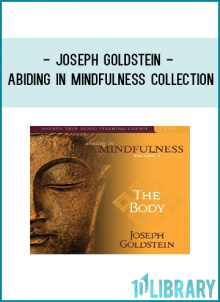 Joseph Goldstein - ABIDING IN MINDFULNESS COLLECTION12