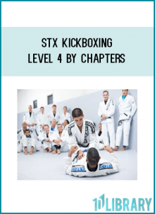 erik paulson’s stx kickboxing curriculum by chapters