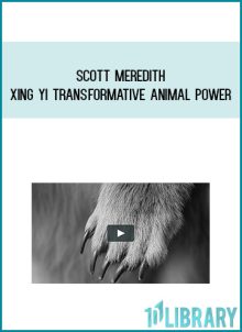Scott Meredith - Xing Yi Transformative Animal Power at Midlibrary.com