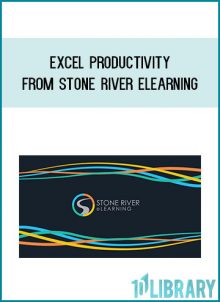 Excel Productivity from Stone River eLearning at Midlibrary.com