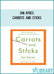 Ian Ayres - Carrots and Sticks